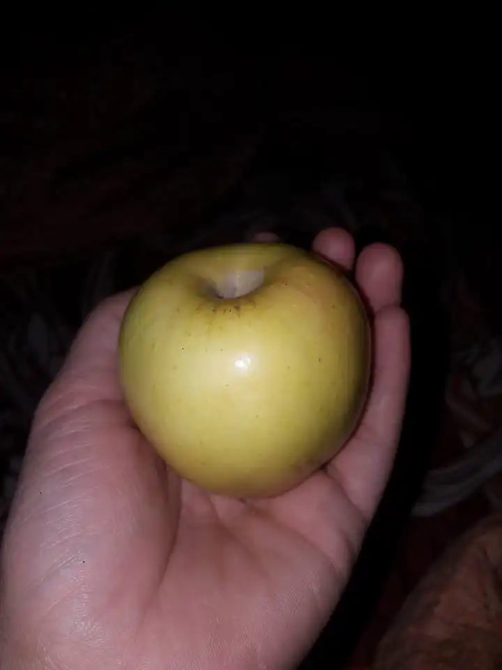 Theo chân nữ du học sinh Việt khám phá thủ đô thứ 3 của nước Nga 6 27072279_783430051866651_1604154567171903713_n