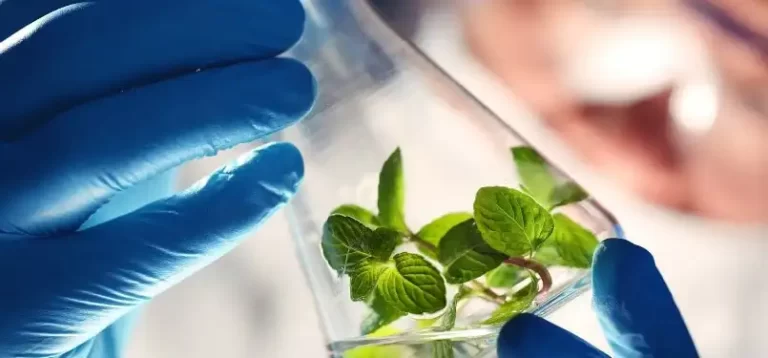 Du học Nga ngành Môi trường và cơ hội học bổng