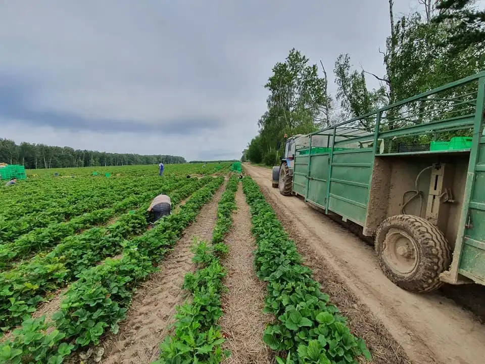 107271422 3046721548709801 8509561123469392455 n