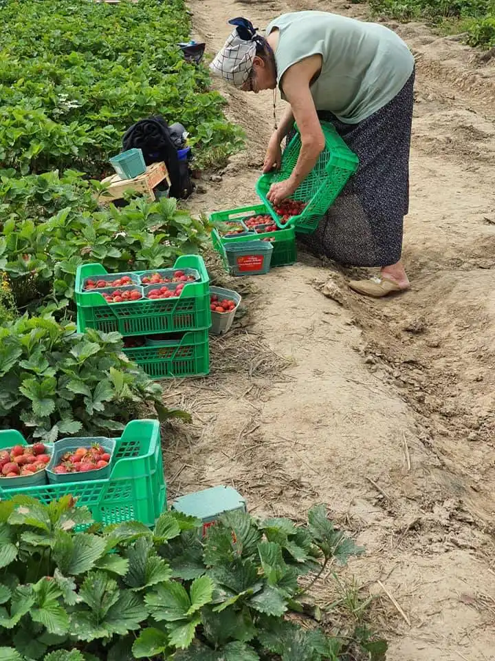 107366359 3046721962043093 3586911857757515262 n