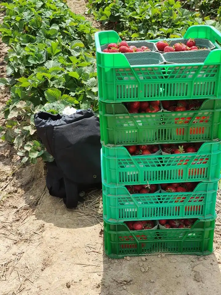 107646906 3046721698709786 7647899302594053481 n