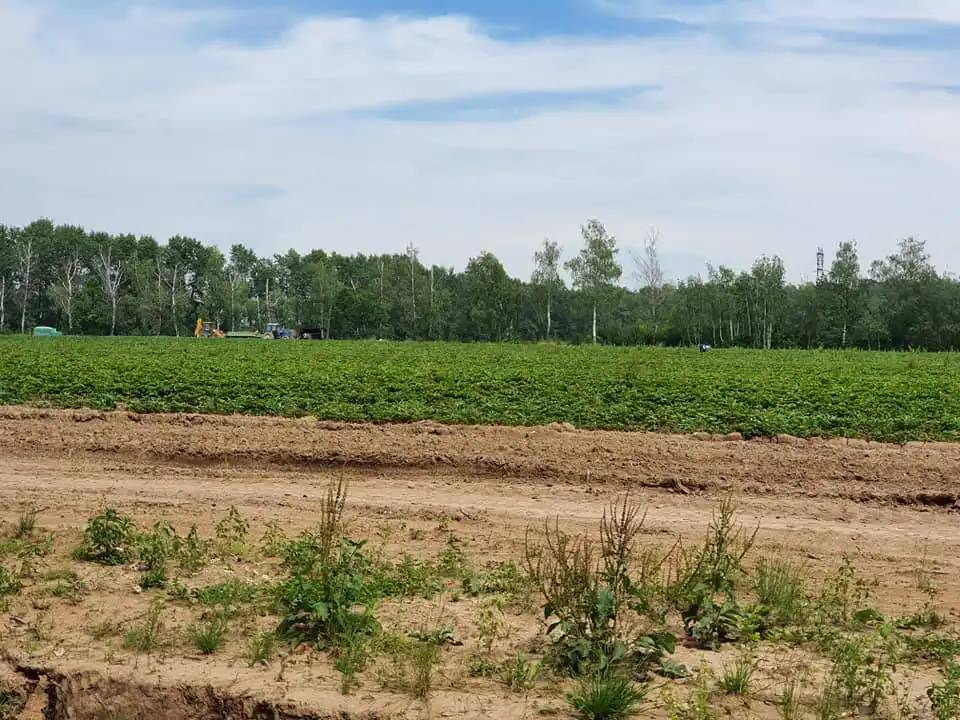 107787975 3046722668709689 7235842211988979353 n