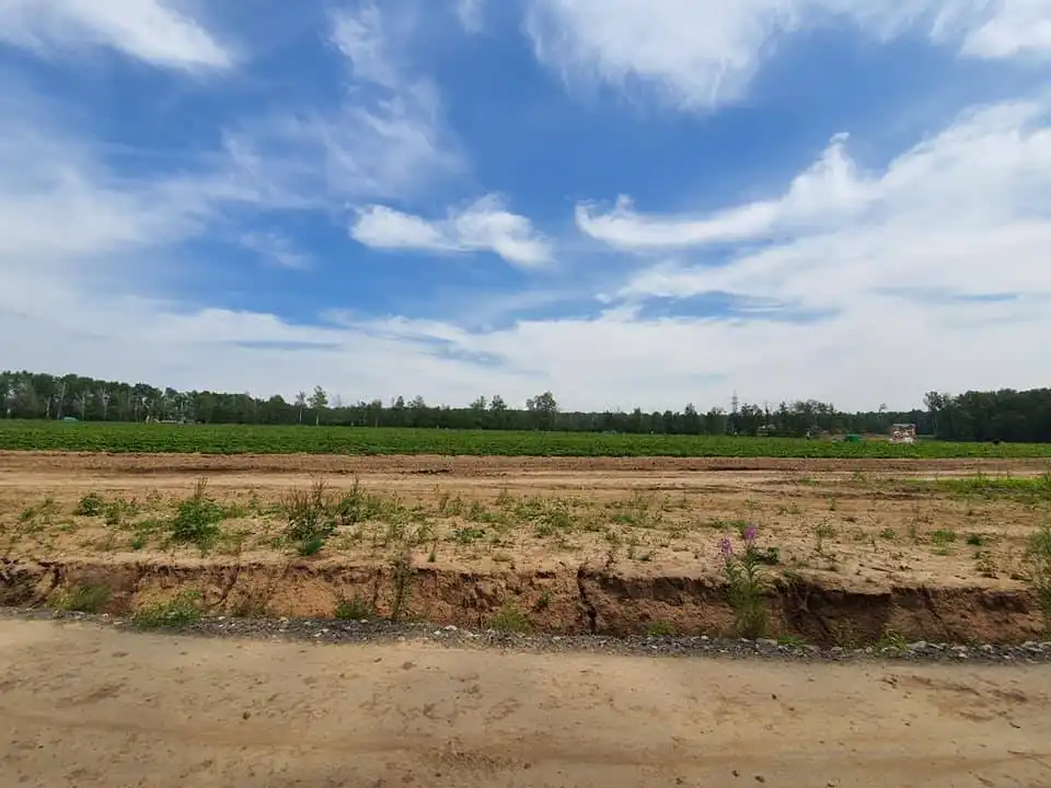 107804295 3046722005376422 2616895303615737184 n