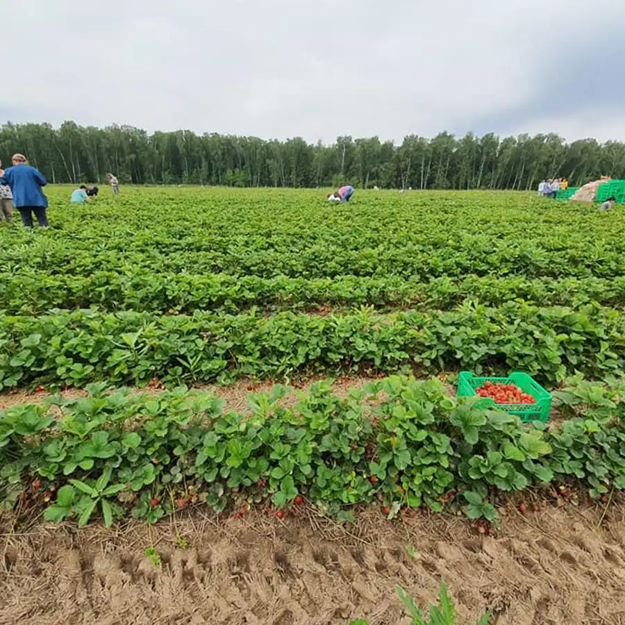 107872180 3046720165376606 7393031996686718016 n