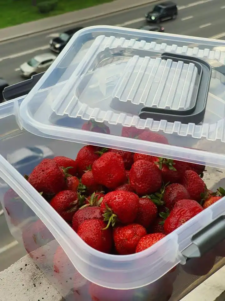 107889037 3046722988709657 1341960220705642906 n