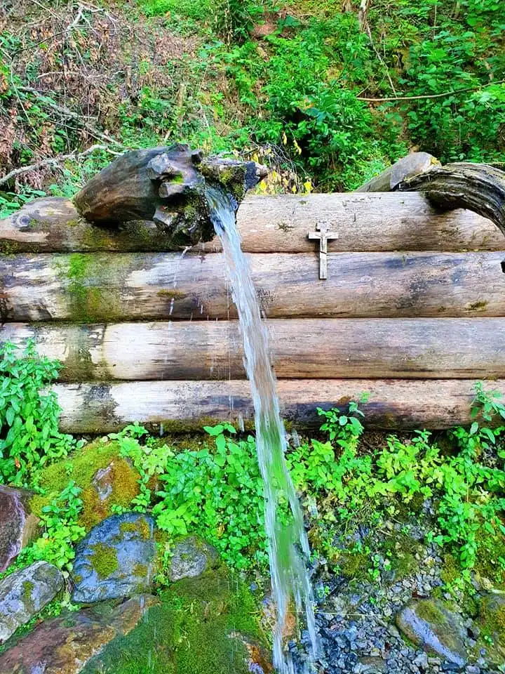 117130105 3126854487363173 866257086695114199 n