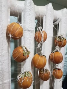 Nữ du học sinh Việt chia sẻ cách tự làm 'hồng treo gió' bằng lò sưởi 4 123571339 3399271200121499 5800641836368607768 n