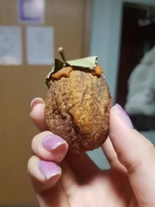 Nữ du học sinh Việt chia sẻ cách tự làm 'hồng treo gió' bằng lò sưởi 6 124040227 3399271346788151 7176632859897263037 n