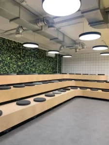 127206176 3445856412129644 6010409036594276111 o