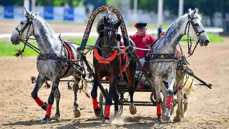 kham pha nhung bieu tuong van hoa cua xu so bach duong 03