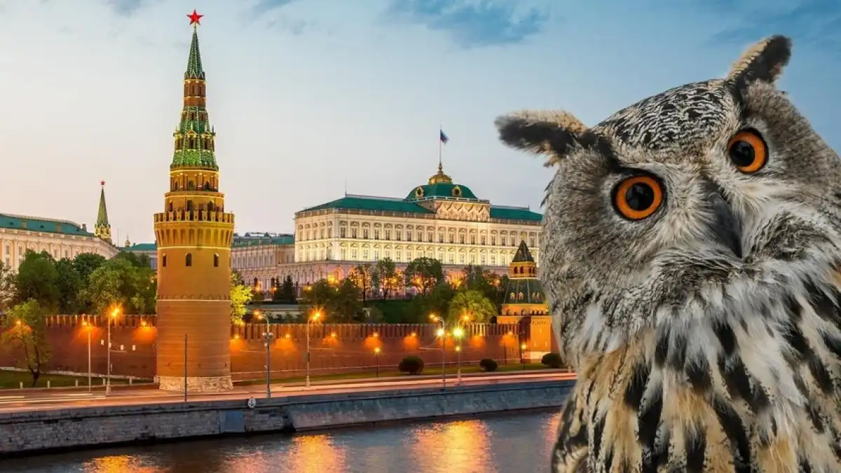 Không phải Tổng thống, ai là người sinh sống trong Điện Kremlin? 1 khong phai tong thong nga ai la nguoi sinh song trong dien kremlin