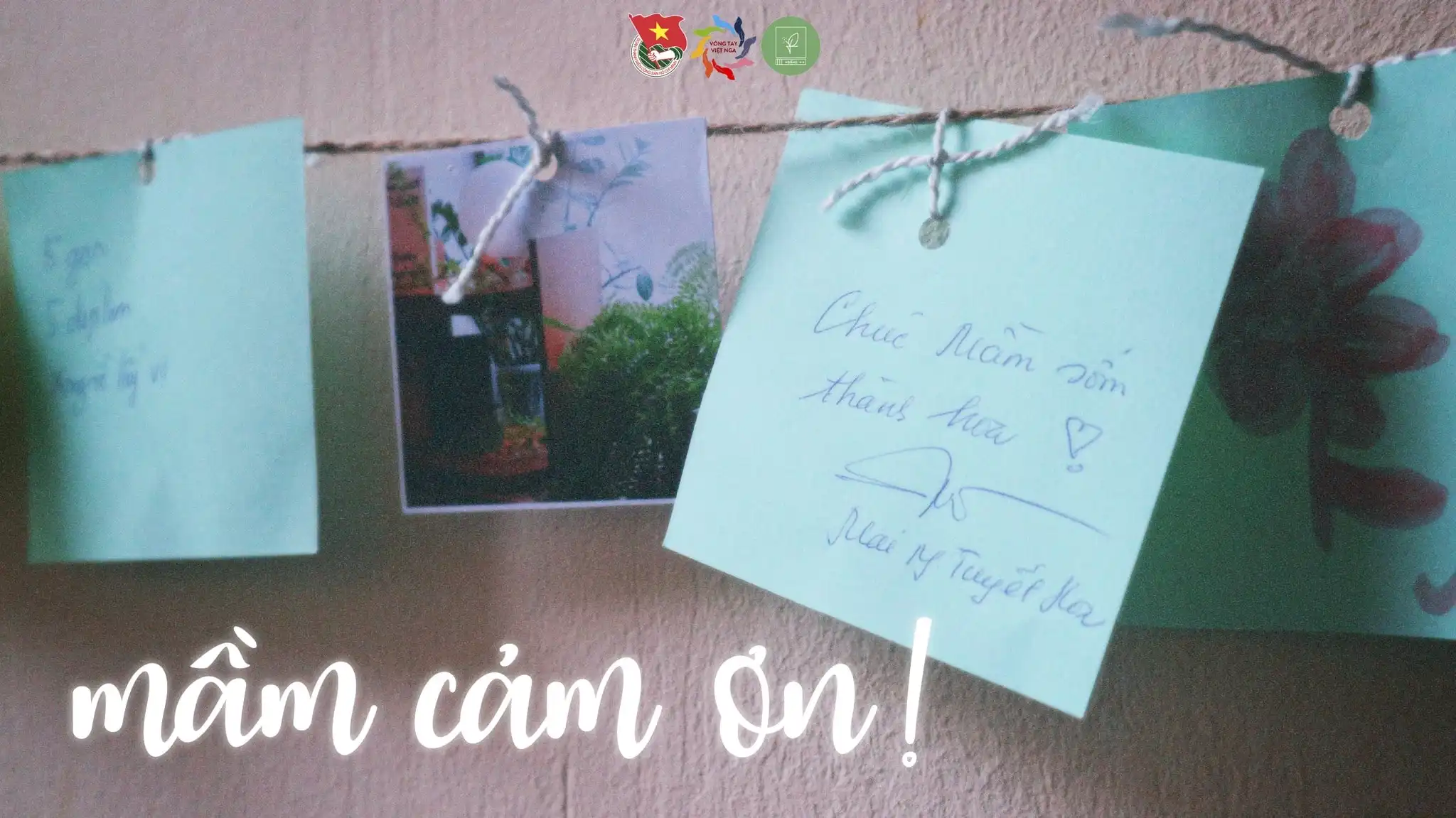 Vòng Tay Việt Nga gửi lời cảm ơn cho sự kiện Mầm 2023 1 vong tay viet nga gui loi cam on cho su kien mam 2023