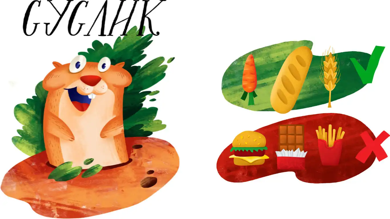 krasnoyarsk du lich 1 cho chuot nang an dao tatishev