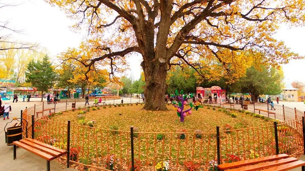 simferopol cong vien detskij