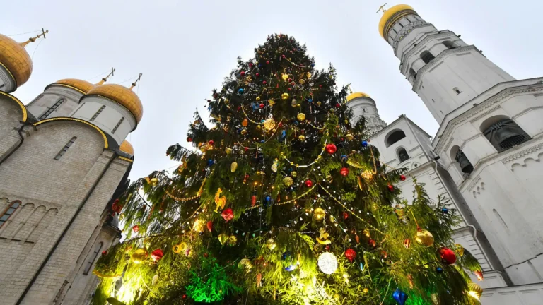 cay thong nam moi bieu tuong dac trung trong van hoa nga
